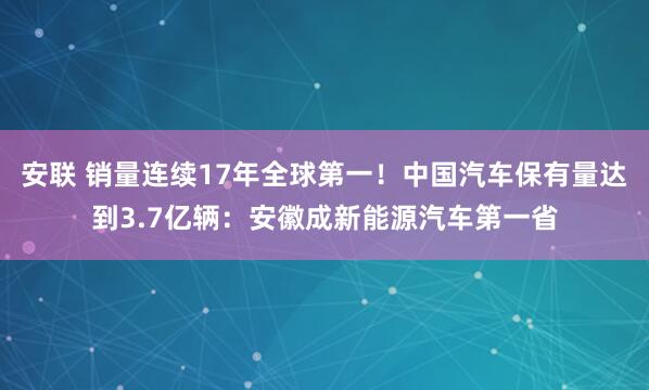 安联 销量连续17年全球第一！中国汽车保有量达到3.7亿辆：安徽成新能源汽车第一省